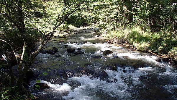 ハルニレテラス付近